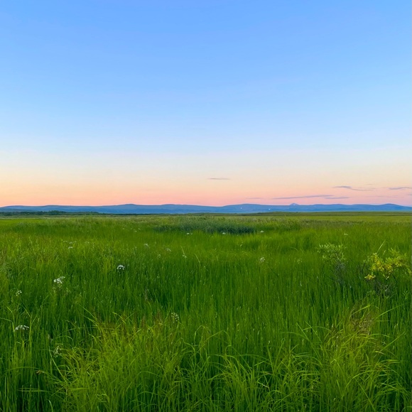 Meet your Posher, ChannaDoll - Picture 1 of 1